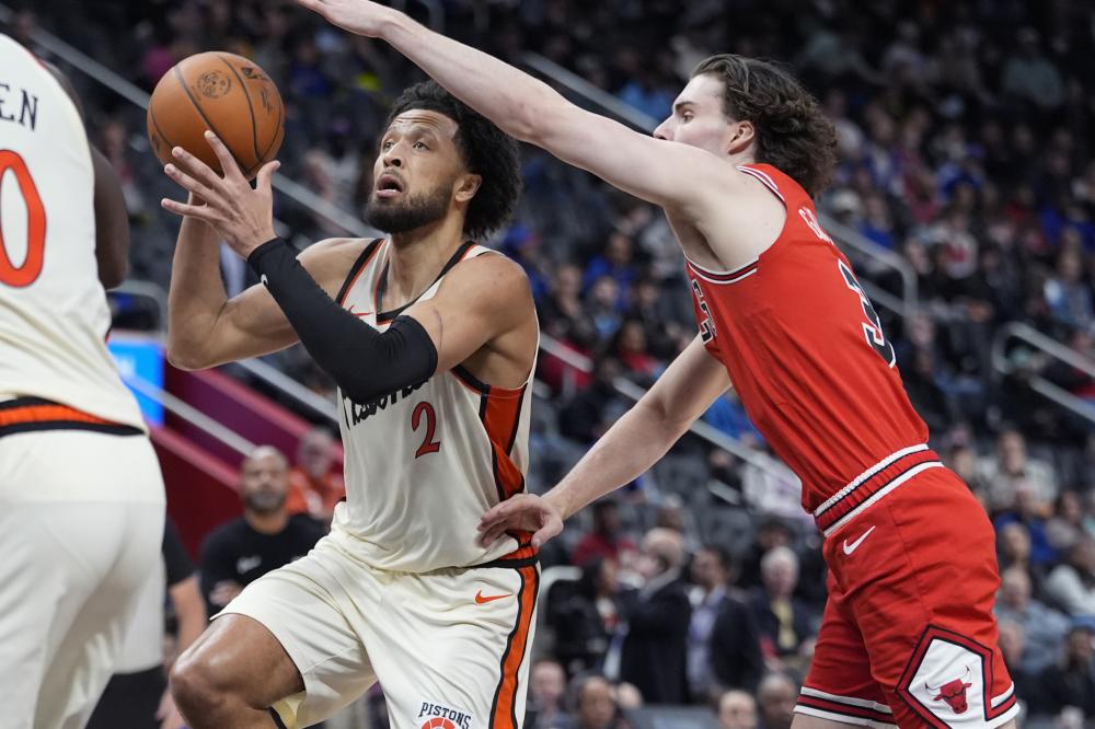 他们对整体 他们对整体